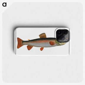 2-59_Ichtyologie-ou-Histoire-naturelle_phone