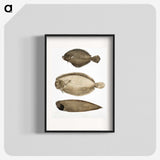 2-59_Indian-Zoology_blk