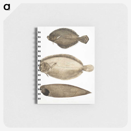 2-59_Indian-Zoology_memo