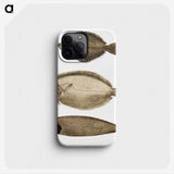 2-59_Indian-Zoology_phone