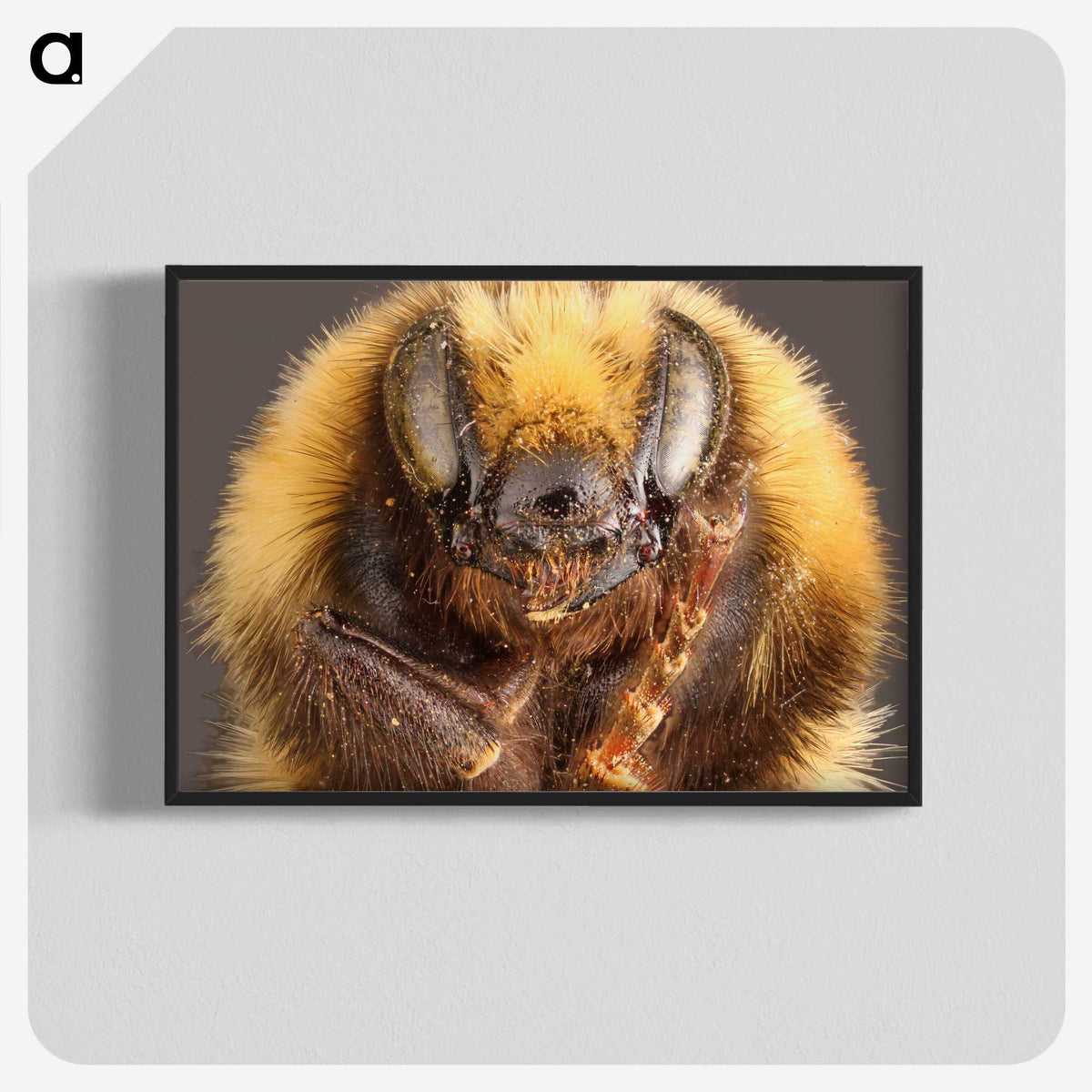 2-59_Insects-Unlocked-Project_blk-crop