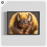 2-59_Insects-Unlocked-Project_blk-crop