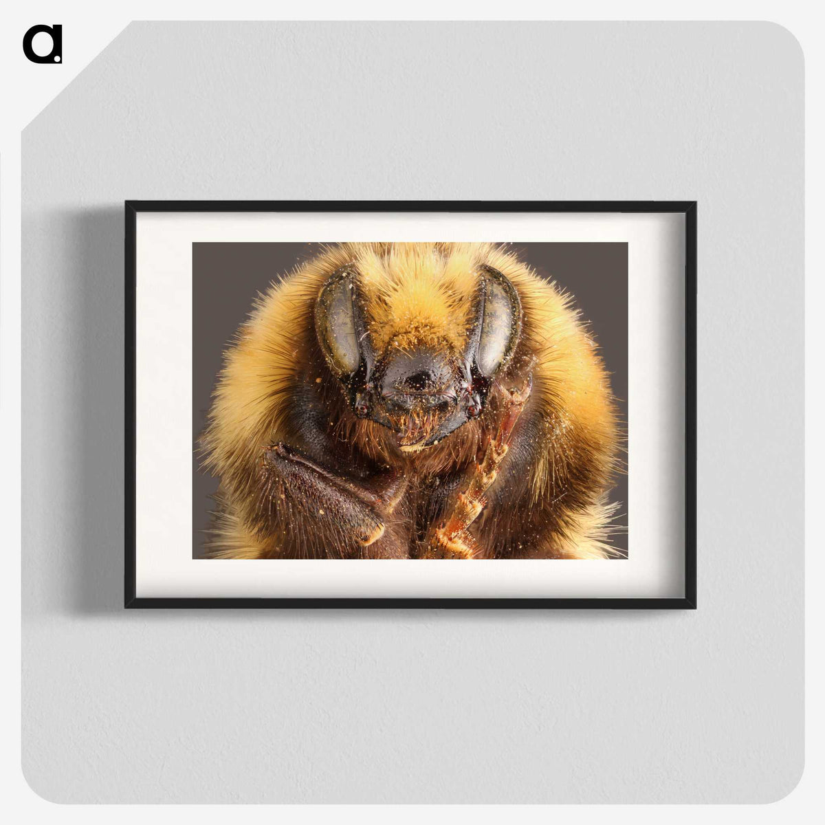 2-59_Insects-Unlocked-Project_blk