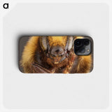 2-59_Insects-Unlocked-Project_phone