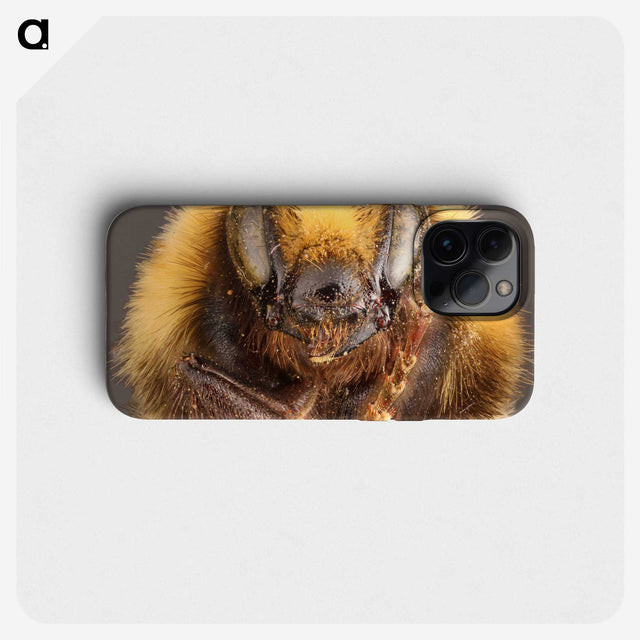 2-59_Insects-Unlocked-Project_phone