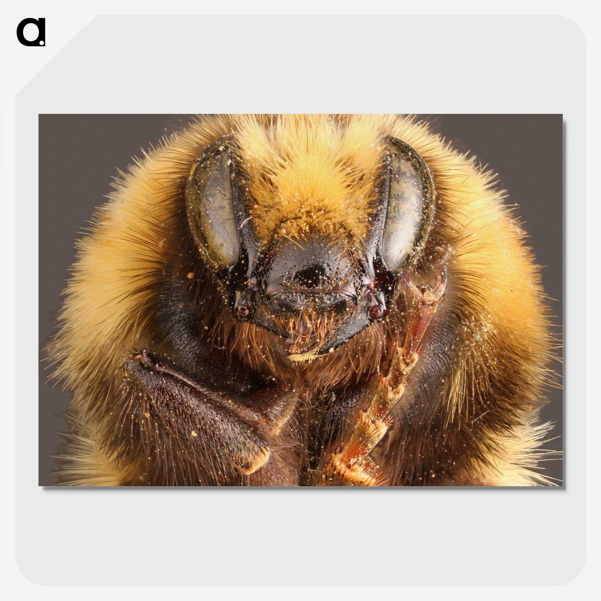 2-59_Insects-Unlocked-Project_picture-crop