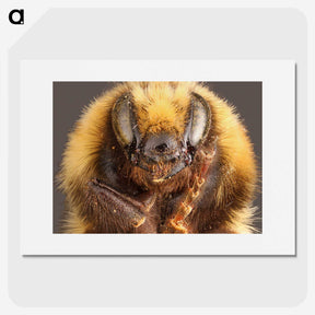 2-59_Insects-Unlocked-Project_picture