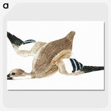 2-59_Johan-Teyler_picture-crop