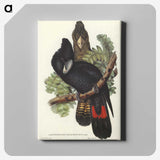 2-59_John-Gould_canvas