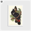 アートポストカード-Great-billed Black Cockatoo
 - ジョン グールド Postcard.
