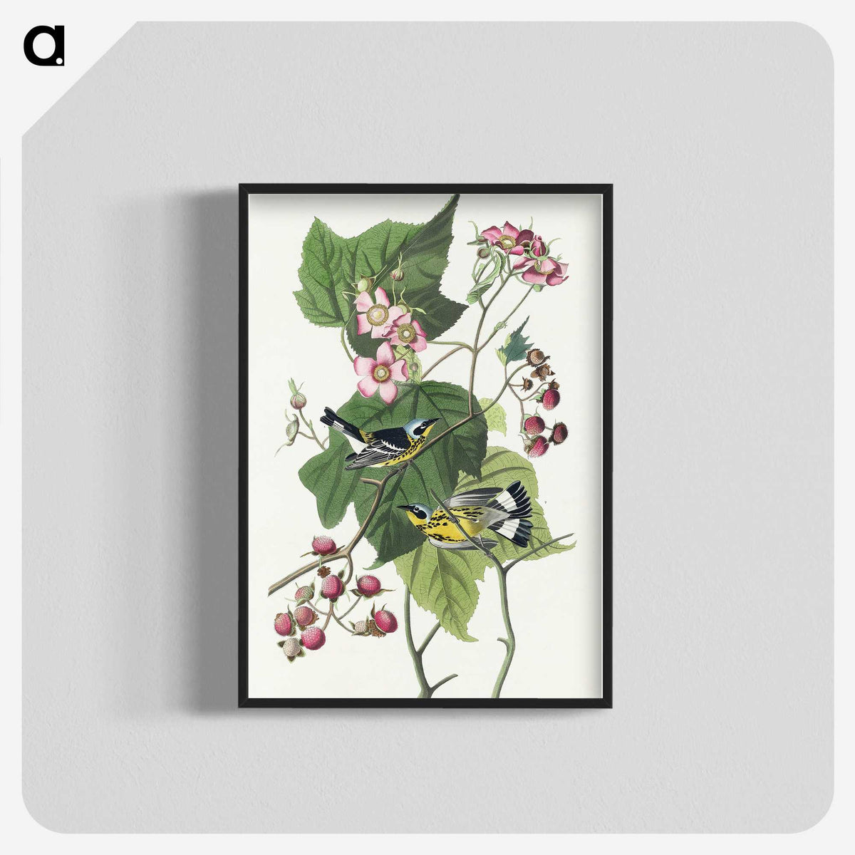 2-59_John-James-Audubon_blk-crop
