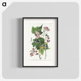 2-59_John-James-Audubon_blk