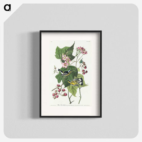 2-59_John-James-Audubon_blk