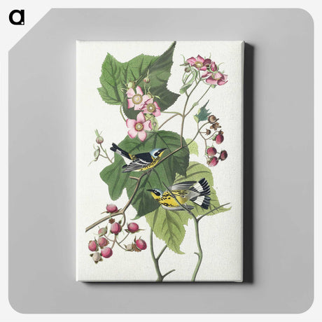 2-59_John-James-Audubon_canvas