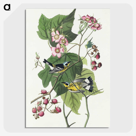 2-59_John-James-Audubon_picture-crop