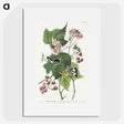 2-59_John-James-Audubon_picture