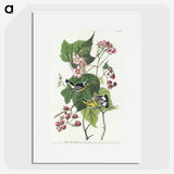 2-59_John-James-Audubon_picture