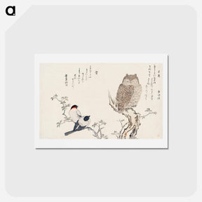 アートポストカード-Mimizuku Uso - 喜多川 歌麿 Postcard.