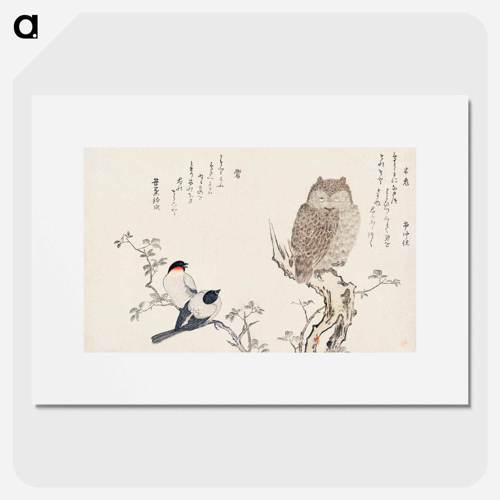 Mimizuku Uso - 喜多川 歌麿 Poster.