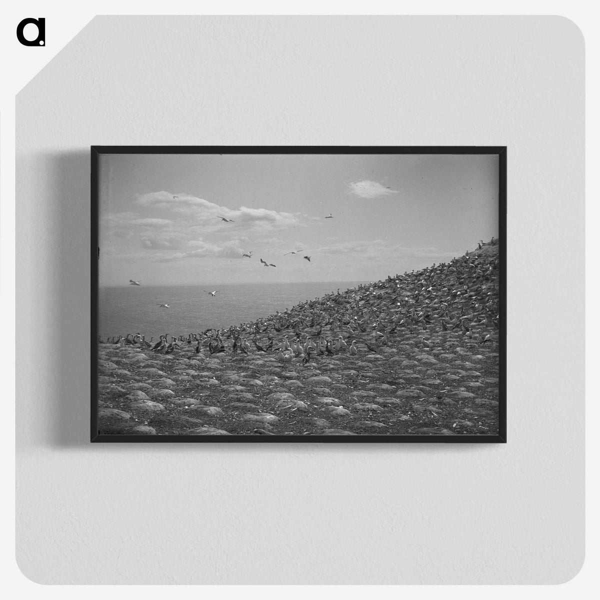 2-59_Leslie-Adkin_blk-crop