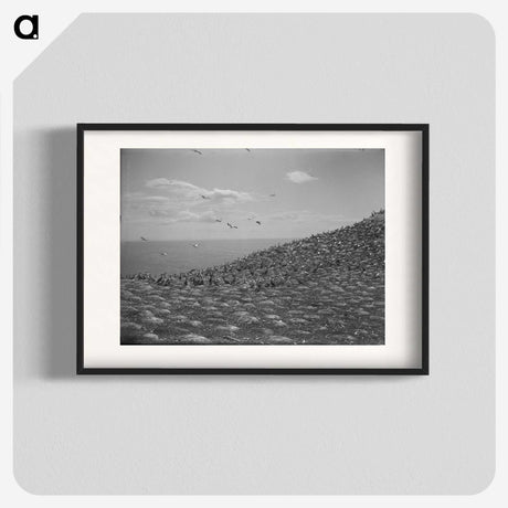 2-59_Leslie-Adkin_blk