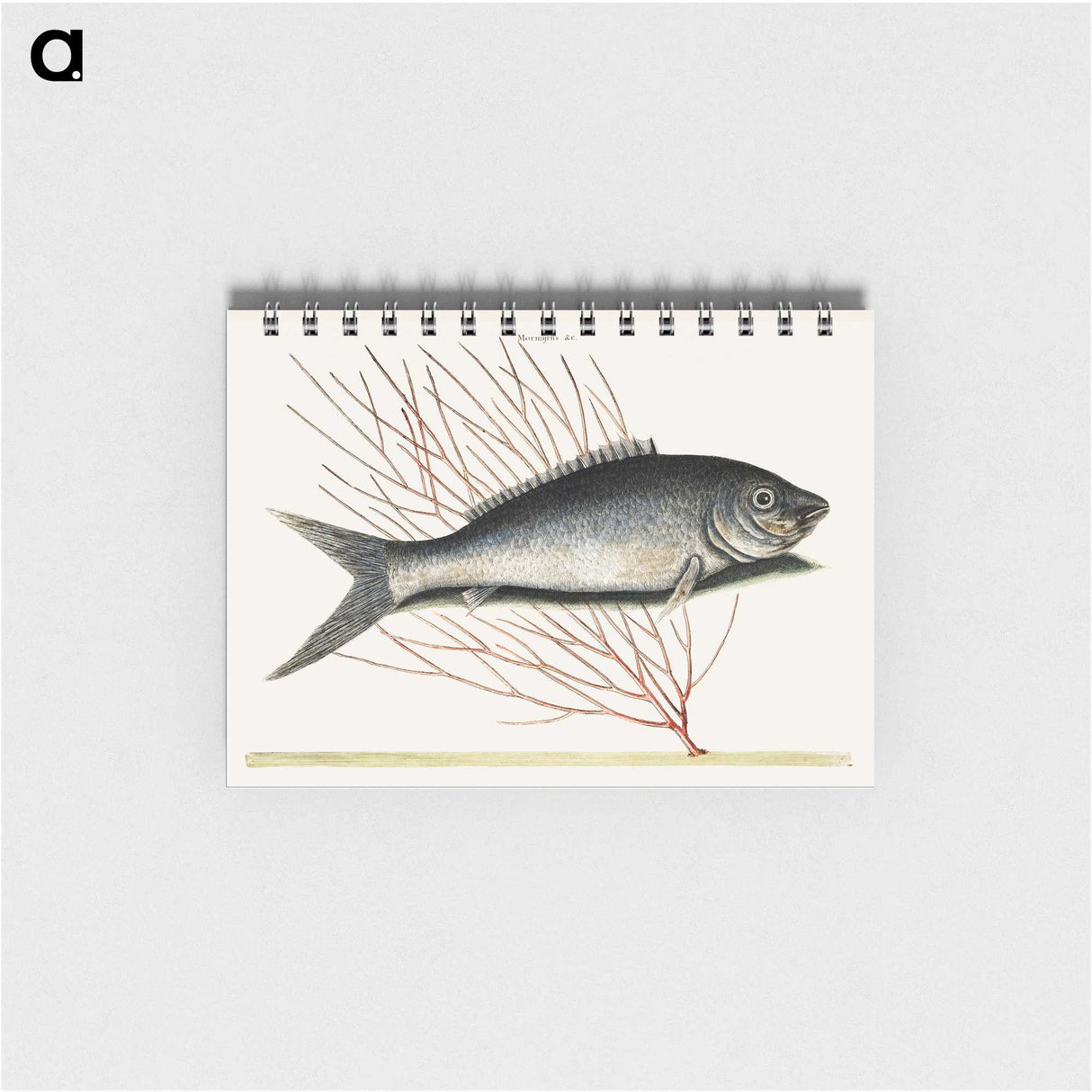 2-59_Mark-Catesby_memo