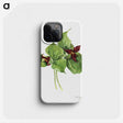 2-59_Mary-Vaux-Walcott_phone