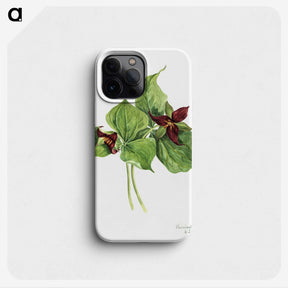 2-59_Mary-Vaux-Walcott_phone