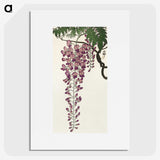 2-59_Ohara-Koson_picture