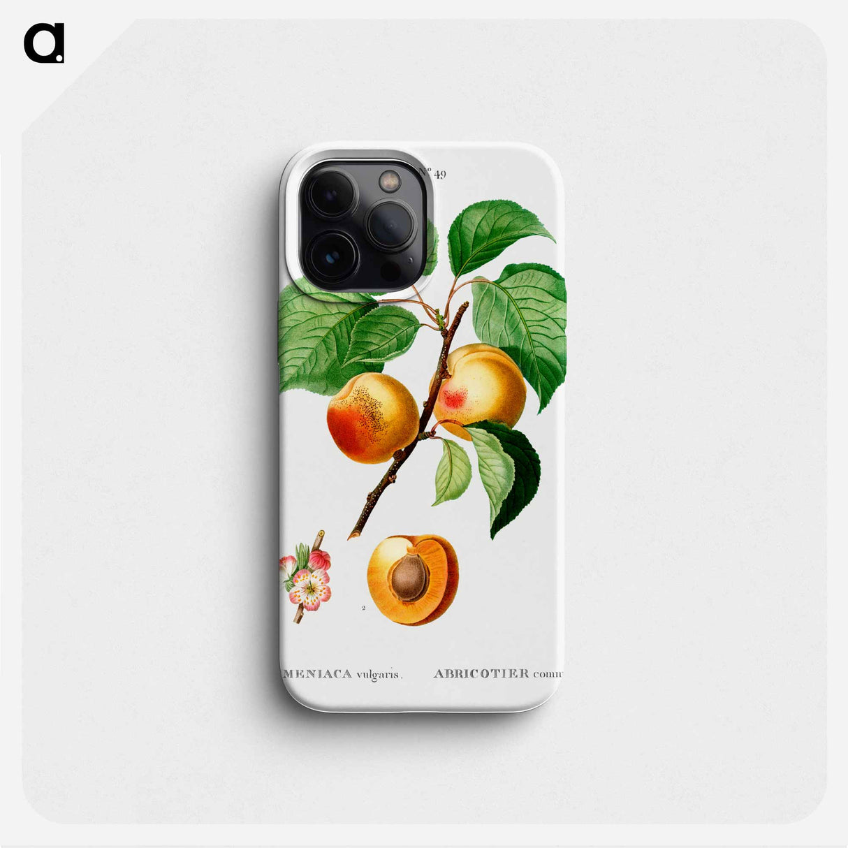 Apricon (Armeniaca vulgaris) - Pierre Joseph Redouté Phone Case.