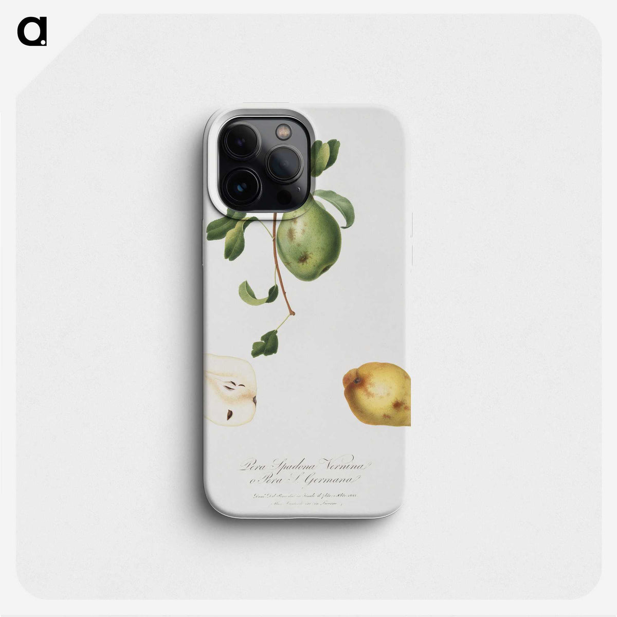 2-59_Pomona-Italiana_phone