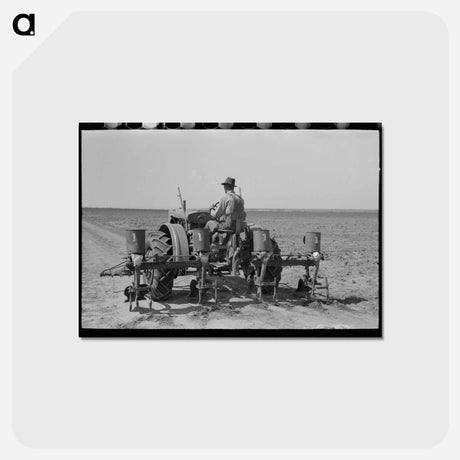 アートポストカード-Texas Farm Planter
 - ラッセル リー Postcard.