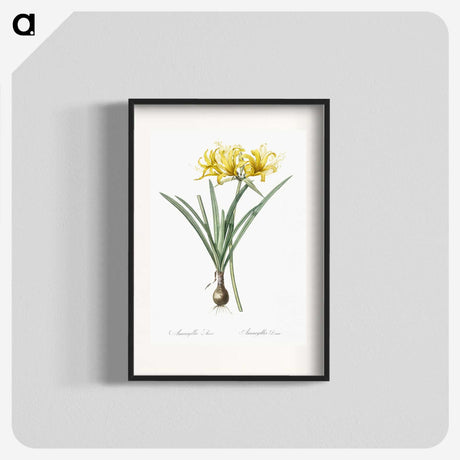 2-59_The-Lilies_blk