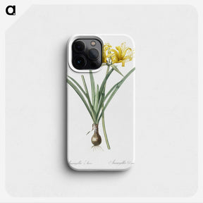 2-59_The-Lilies_phone