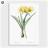 2-59_The-Lilies_picture-crop