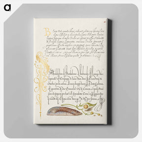 アートパネル-Noah's Ark Shell and Sneezewort from Mira Calligraphiae Monumenta
 - 書道のお手本 Canvas.