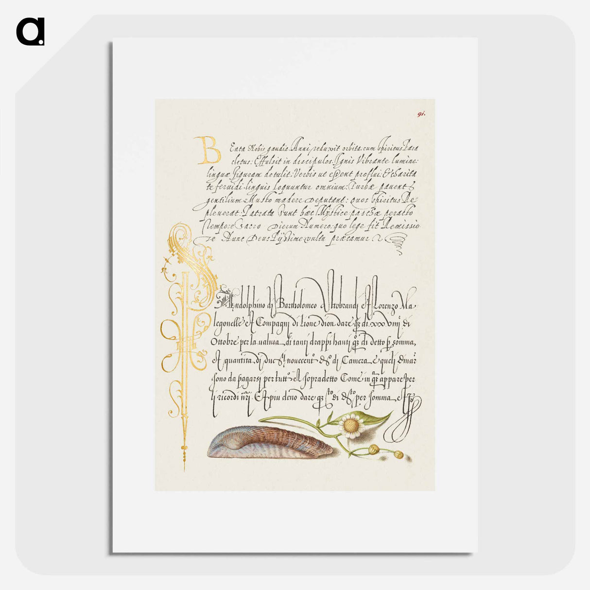 アートポスター-Noah's Ark Shell and Sneezewort from Mira Calligraphiae Monumenta
 - 書道のお手本 Poster.