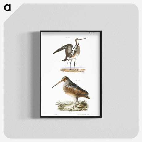 2-59_Zoology-of-New-York_blk-crop