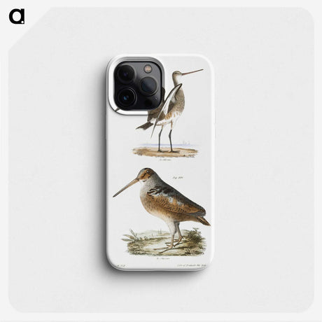 2-59_Zoology-of-New-York_phone