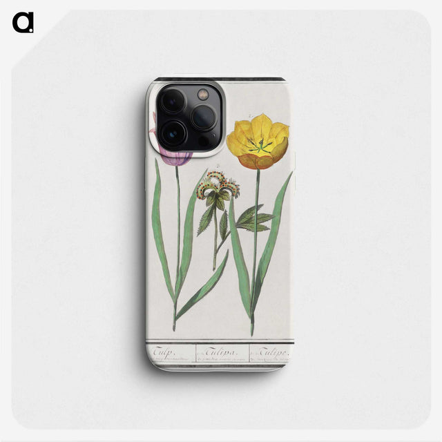 2-5_Anselmus-Boetius-de-Boodt_phone