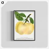 2-5_Botanical-Specimen-Plates_blk-crop