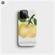 2-5_Botanical-Specimen-Plates_phone