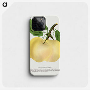 2-5_Botanical-Specimen-Plates_phone