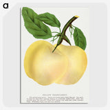 2-5_Botanical-Specimen-Plates_picture-crop