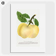 2-5_Botanical-Specimen-Plates_picture