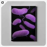 2-5_COVID-19_canvas