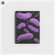 2-5_COVID-19_memo