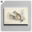 2-5_Charles-Hamilton-Smith_canvas