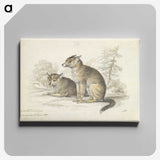 2-5_Charles-Hamilton-Smith_canvas