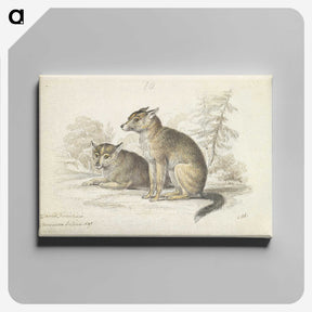 2-5_Charles-Hamilton-Smith_canvas